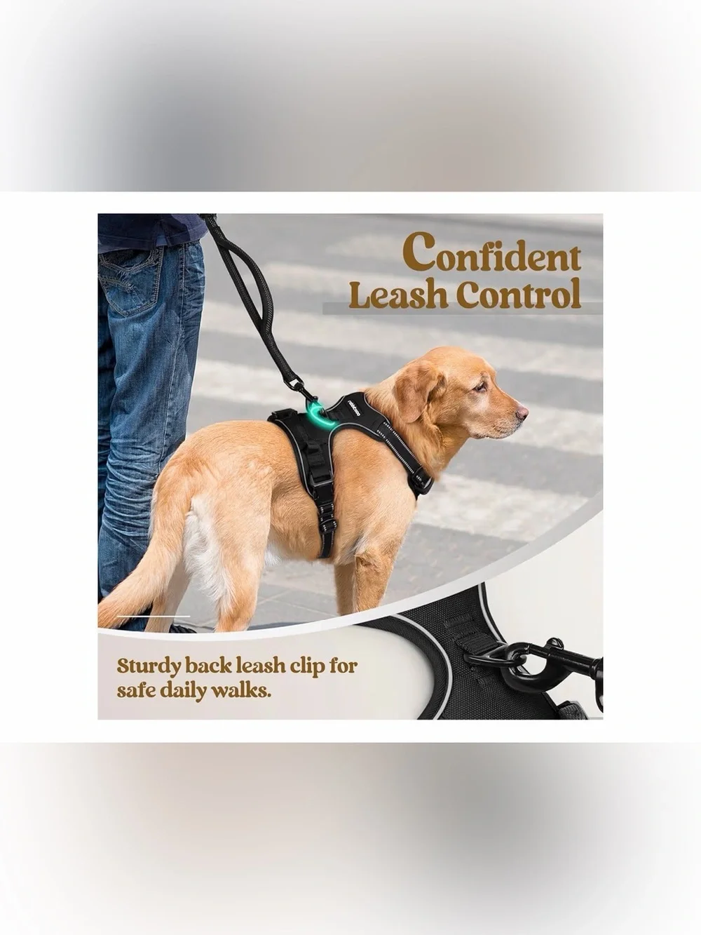 rabbitgoo Dog Harness, No Pull for Small Dogs with 2 Leash Clips